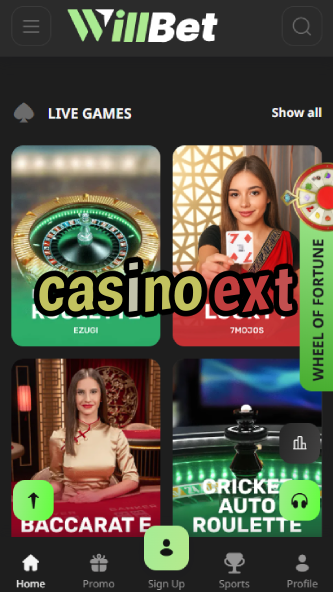 Casino EXT - Extended Bonus Casino Offers-casinocasi.ydblkf.net